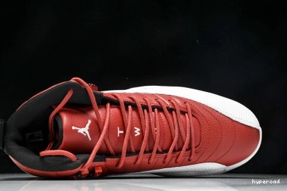 Hyperoad Jordan 12 Air 